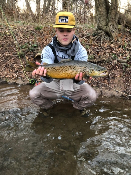 A Brief Overview of the Brown&nbsp;Trout